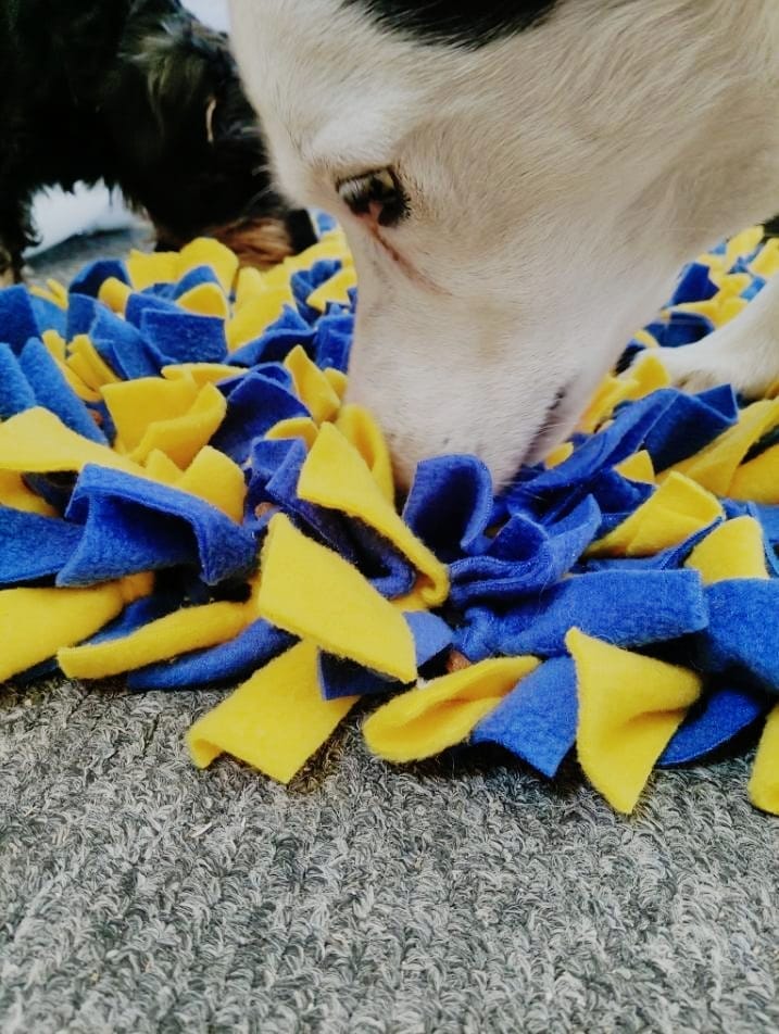 INJARA Snuffle Mat XL - Image 4