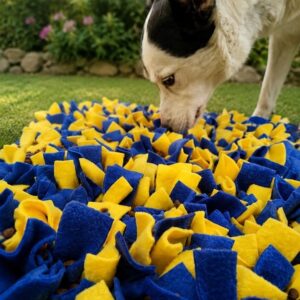 INJARA Snuffle Mat XL