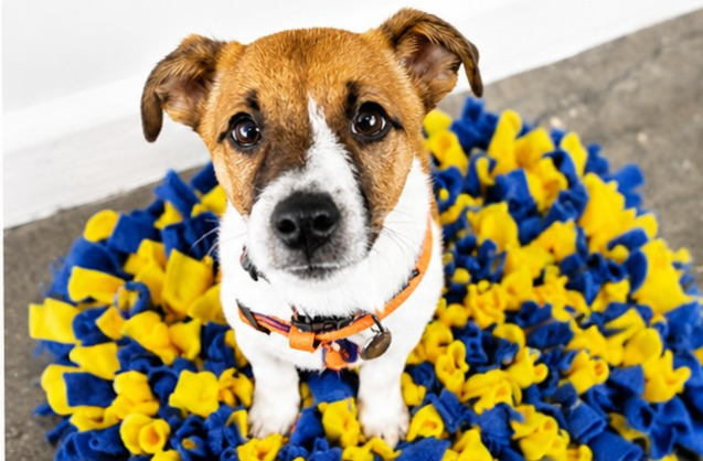 Snuffle Mat_Simba